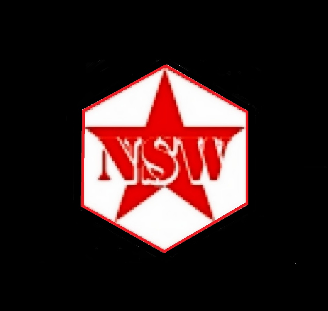 New Star Ways Goods Transport Co.